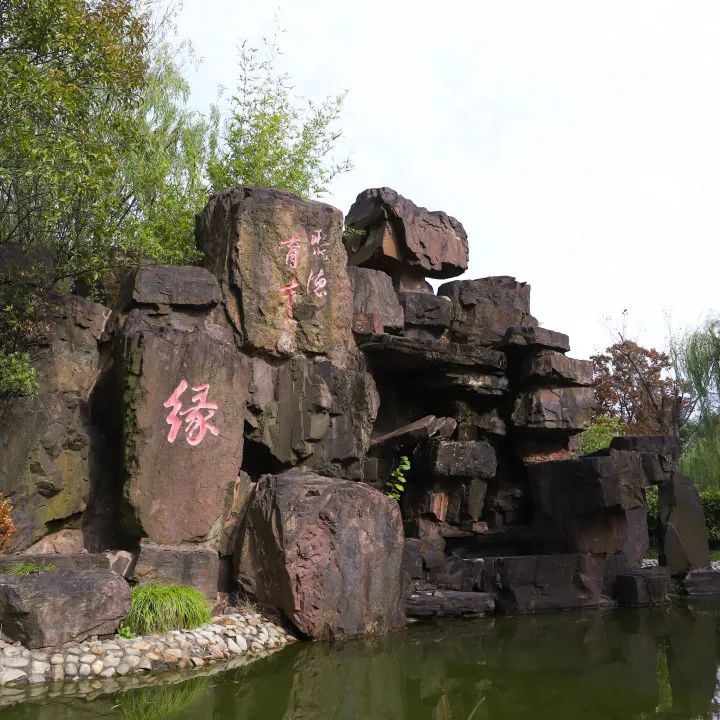 会员风采丨亚龙国际广场,市中心的璀璨明珠 会员风采丨亚龙国际广场,市中心的璀璨明珠