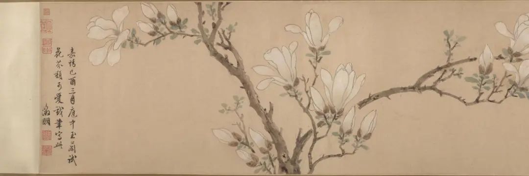 王慧敏：市花白玉兰——“小而美”的城市软实力打开方式