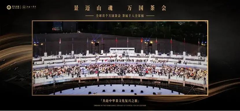 会员风采  | W —— 以茶为媒，融通世界