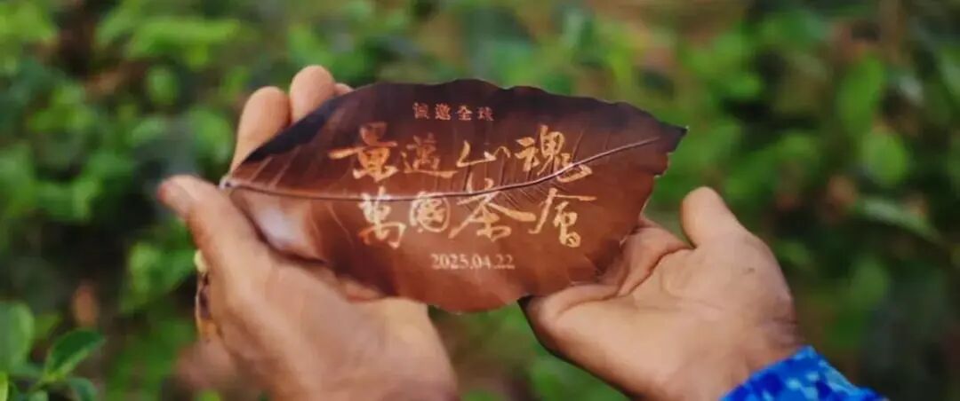 会员风采  | W —— 以茶为媒，融通世界