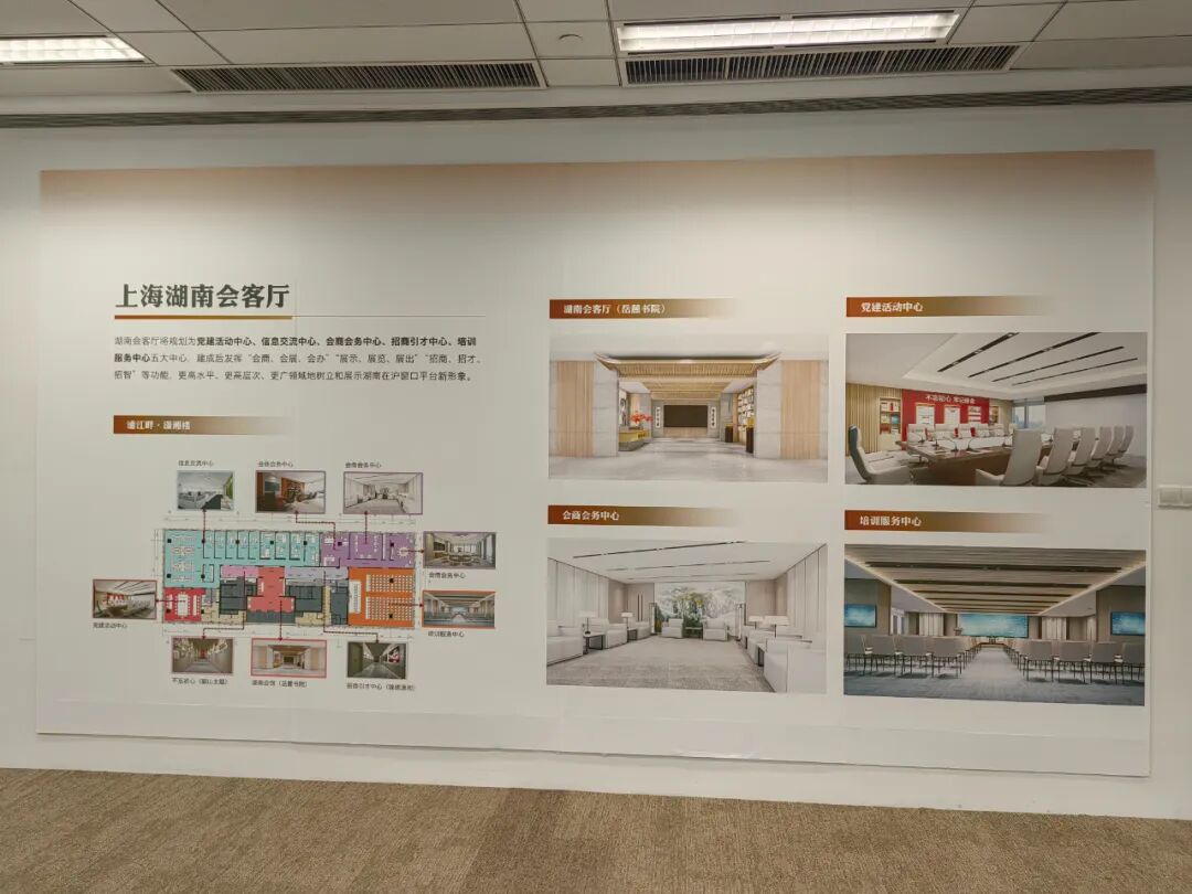 协会领导一行赴上海湘芒果文化投资有限公司调研交流